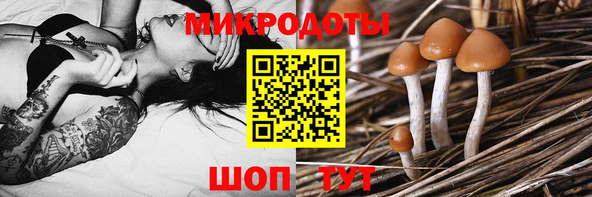 Псилоцибиновые грибы MAGIC MUSHROOMS Кстово