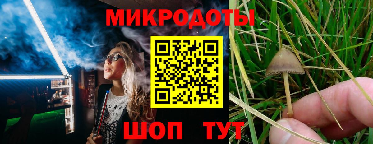 Псилоцибиновые грибы Psilocybine cubensis  Галлюциногенные грибы мухоморы  Кстово  Вход с VPN 